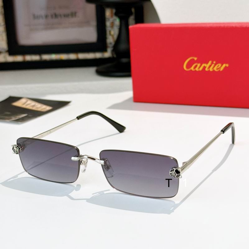 Cartier CT0598S 140 a03