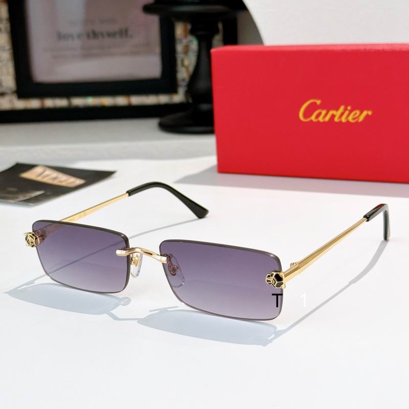 Cartier CT0598S 140 a04