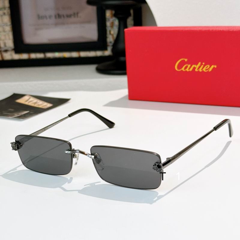 Cartier CT0598S 140 a05
