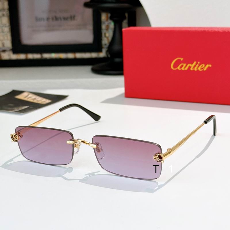 Cartier CT0598S 140 a06