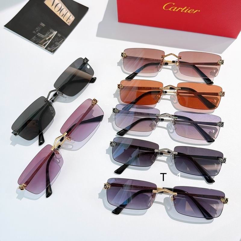 Cartier CT0598S 140 a08
