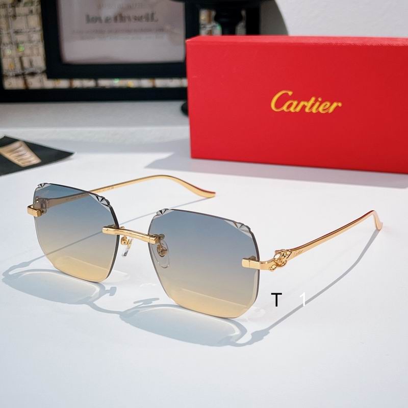 Cartier CT0731s 57 18-137 a02