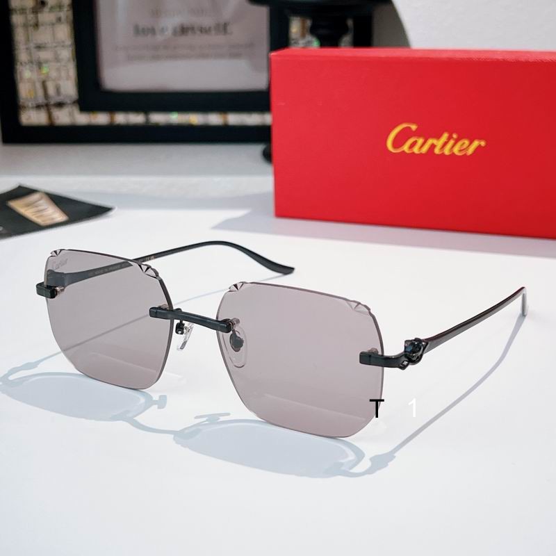 Cartier CT0731s 57 18-137 a03
