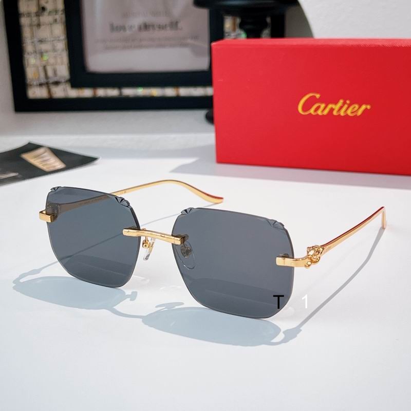 Cartier CT0731s 57 18-137 a05