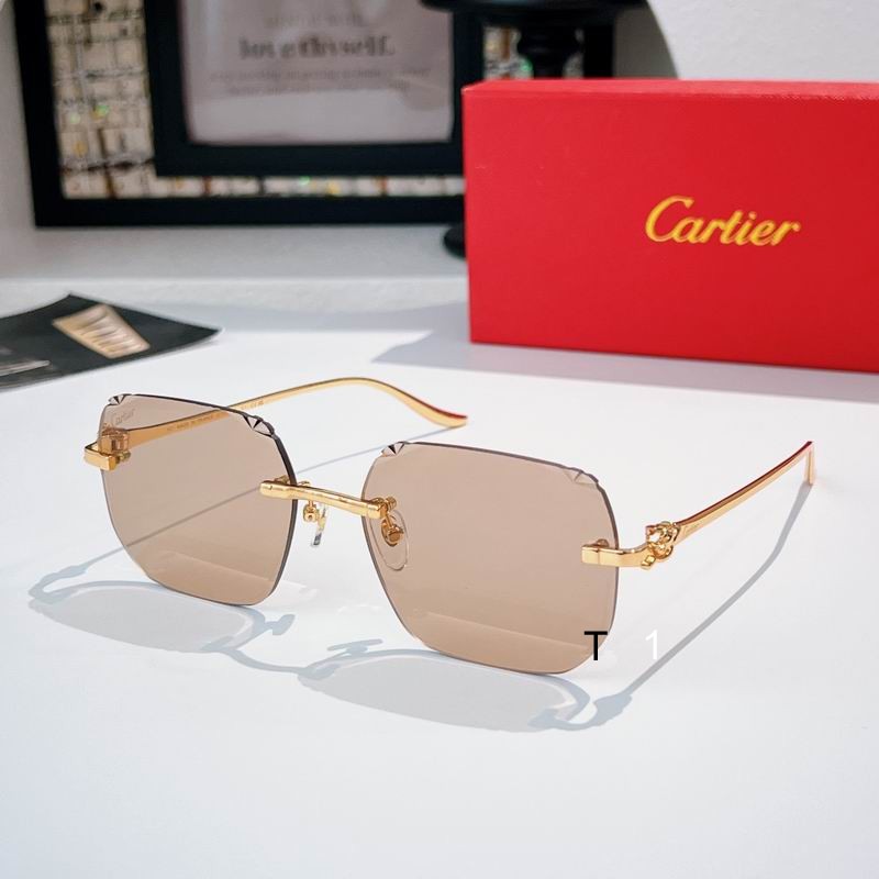 Cartier CT0731s 57 18-137 a06