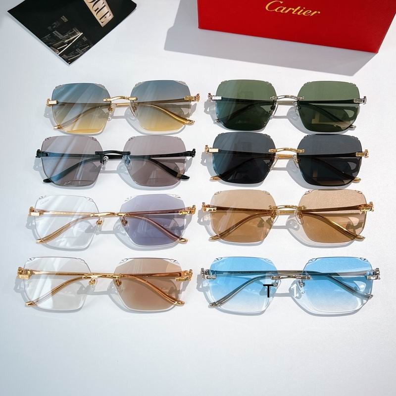 Cartier CT0731s 57 18-137 a08
