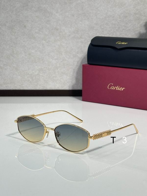 Cartier CT0740 143 c05