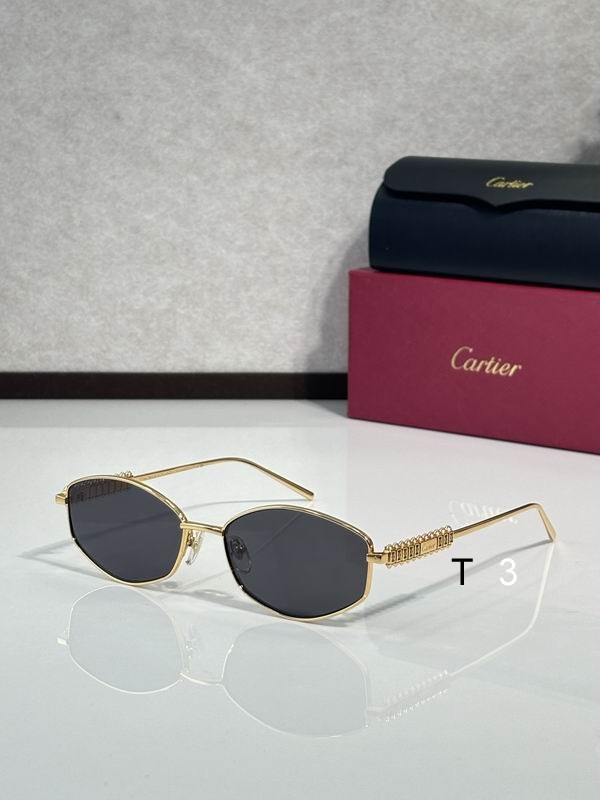 Cartier CT0740 143 c06