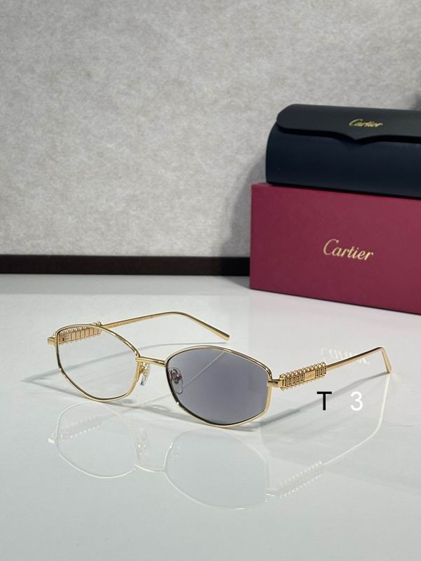 Cartier CT0740S 143 c02