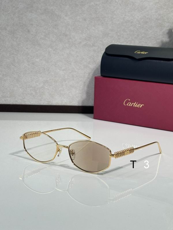 Cartier CT0740S 143 c03