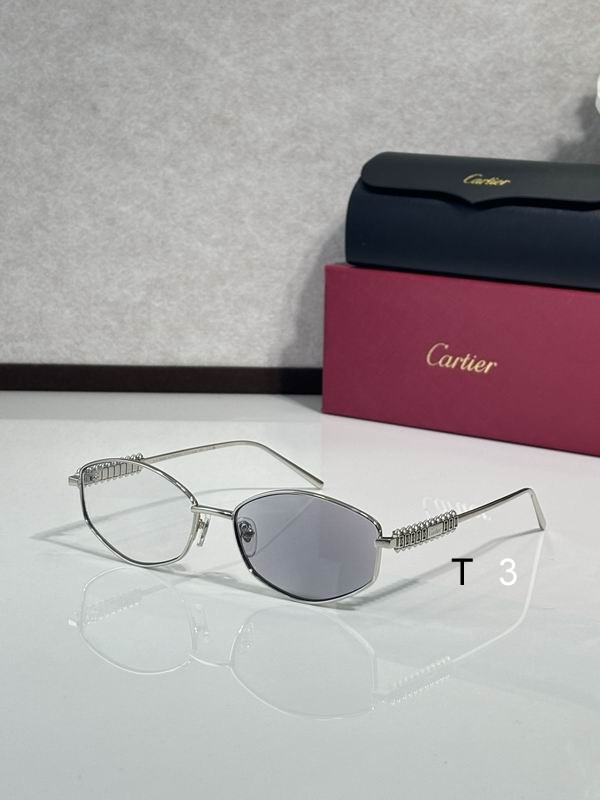 Cartier CT0740S 143 c04