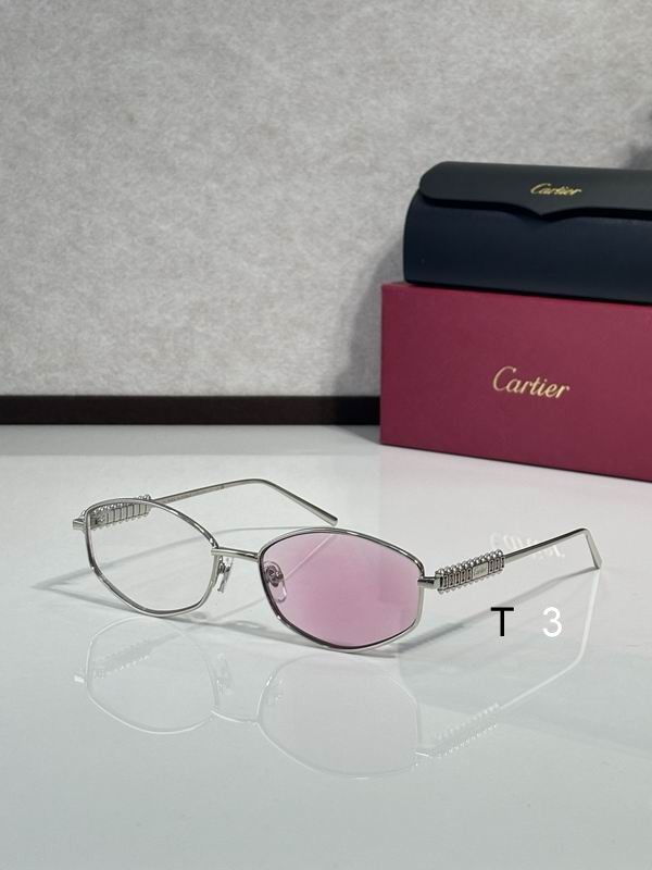 Cartier CT0740S 143 c05