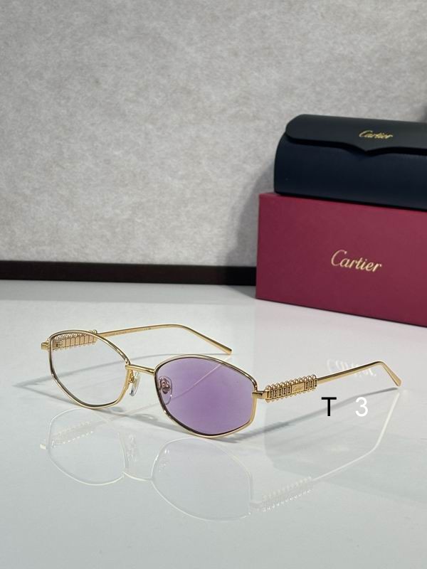 Cartier CT0740S 143 c06