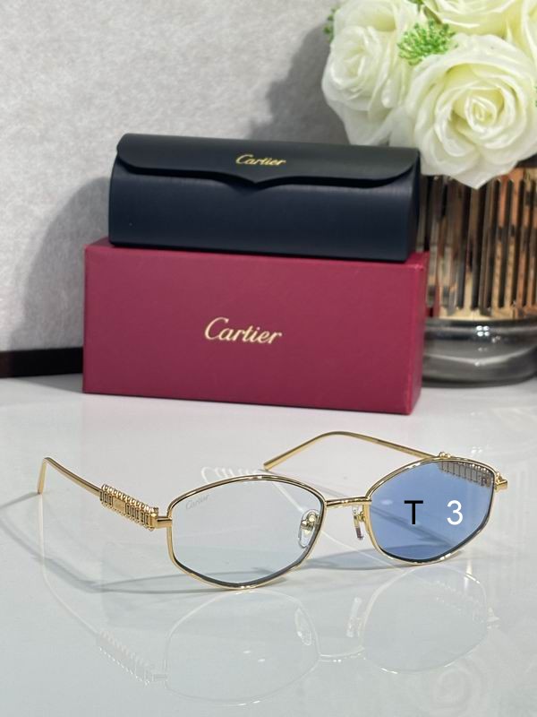 Cartier CT0740S 143 c08