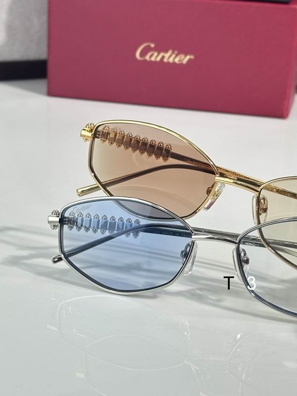Cartier CT0740S 143 c09