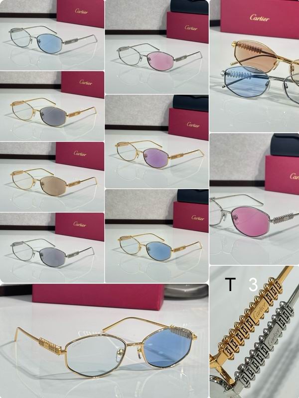 Cartier CT0740S 143 c10