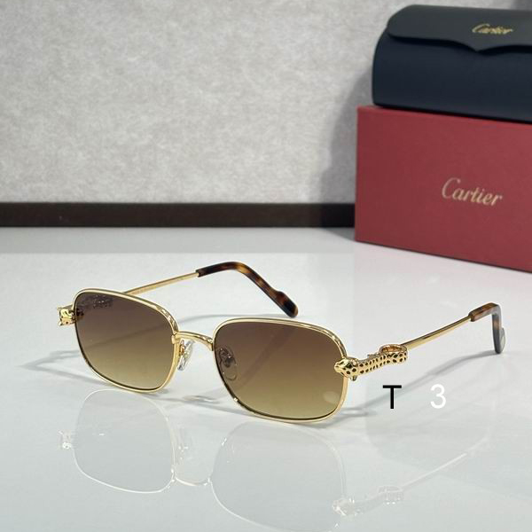 Cartier CT0753S 55 18-143 c03