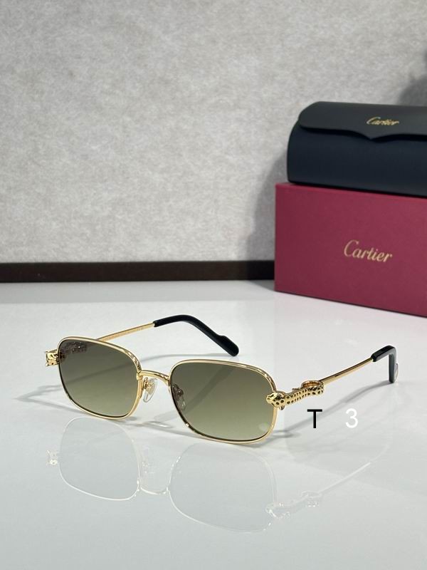 Cartier CT0753S 55 18-143 c04