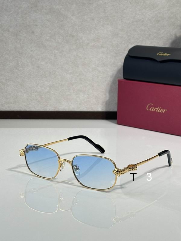 Cartier CT0753S 55 18-143 c05