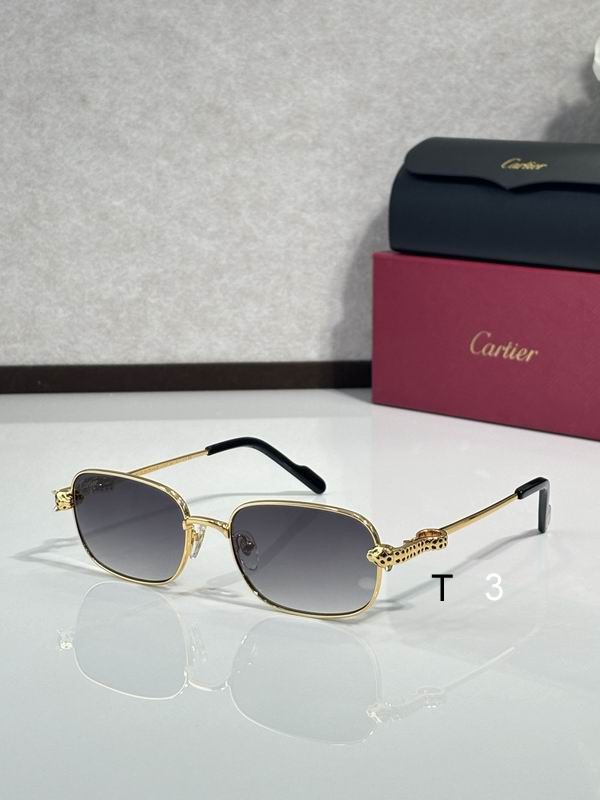 Cartier CT0753S 55 18-143 c06