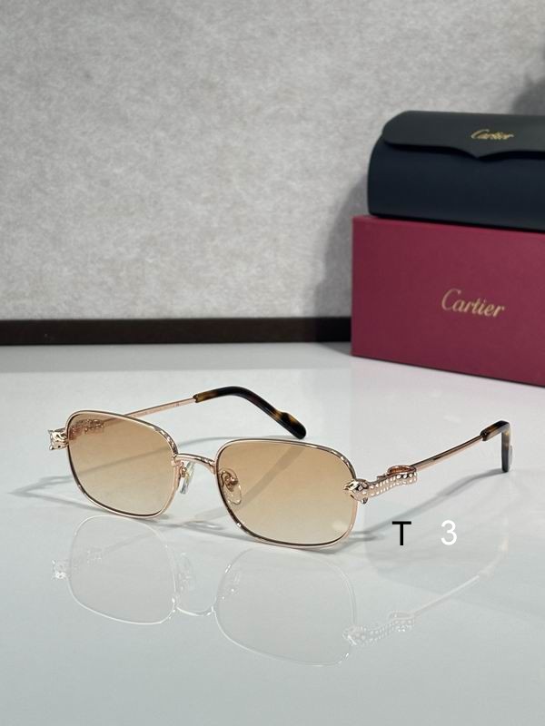 Cartier CT0753S 55 18-143 c07