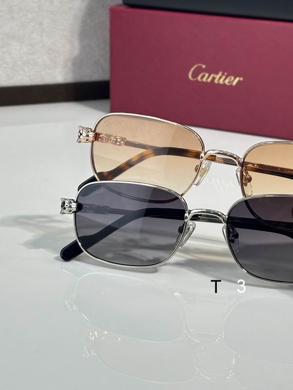 Cartier CT0753S 55 18-143 c09