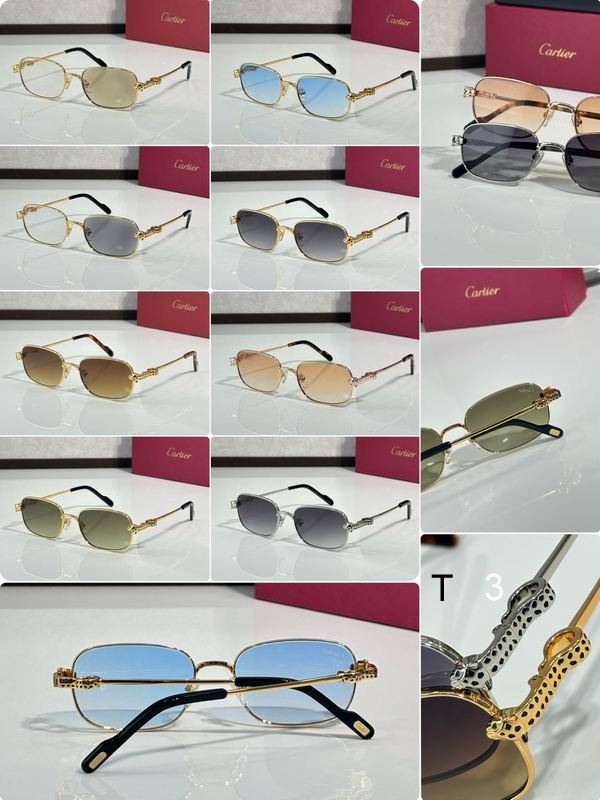 Cartier CT0753S 55 18-143 c10