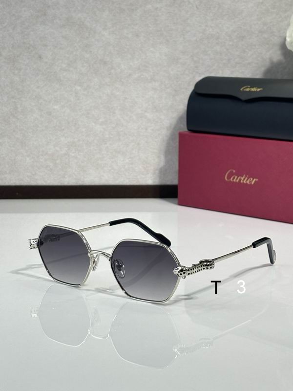 Cartier CT0754S 55 17-143  c03
