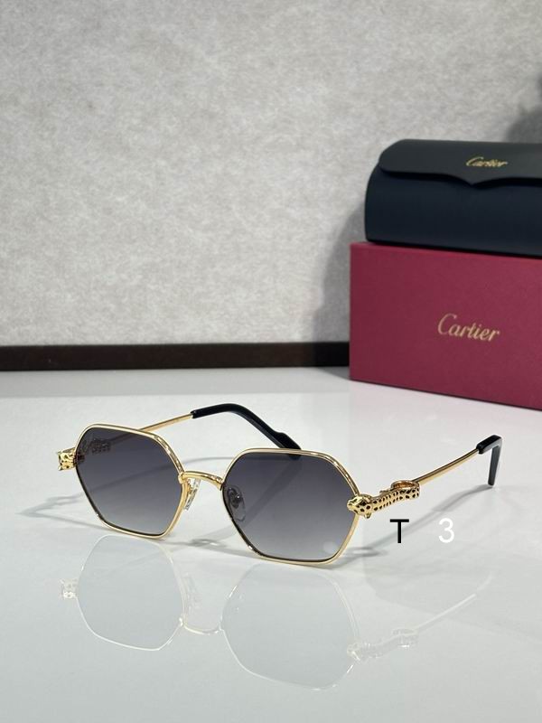 Cartier CT0754S 55 17-143  c04