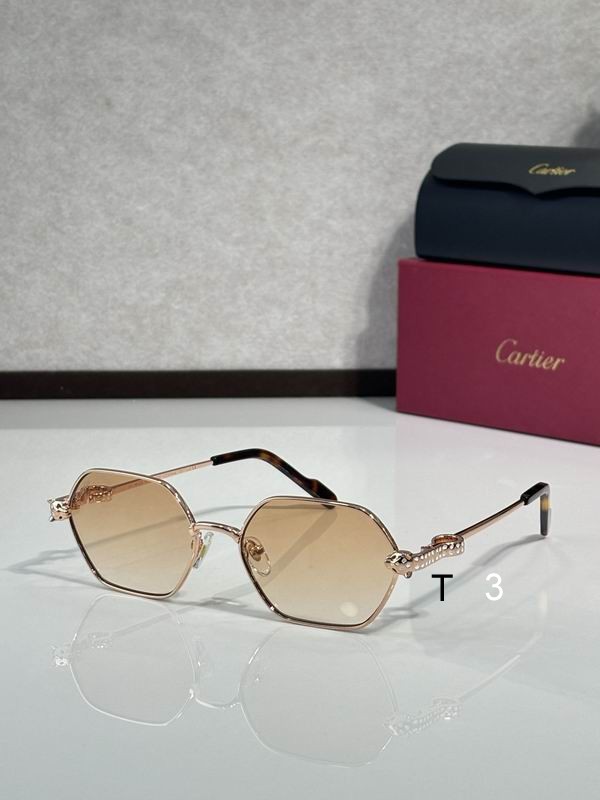 Cartier CT0754S 55 17-143  c05