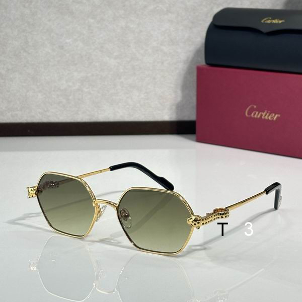 Cartier CT0754S 55 17-143  c06