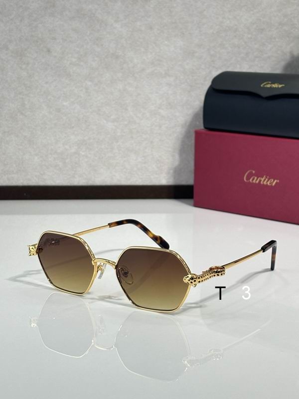 Cartier CT0754S 55 17-143  c07