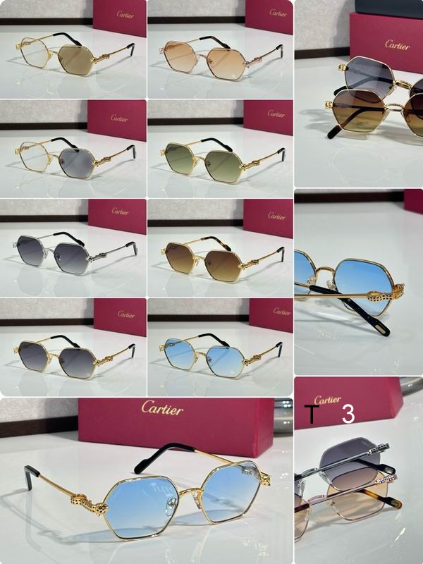 Cartier CT0754S 55 17-143  c10