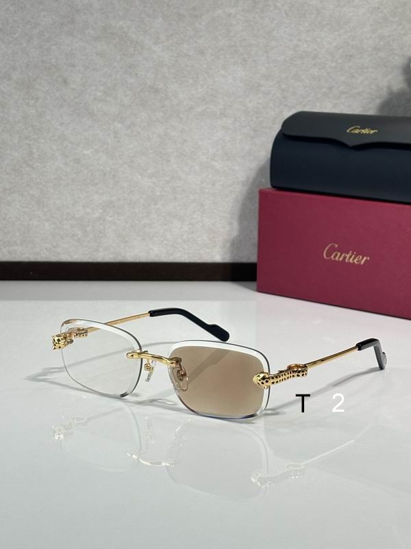 Cartier CT0755S 57 17-143 C01