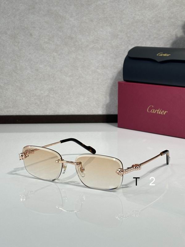 Cartier CT0755S 57 17-143 C04