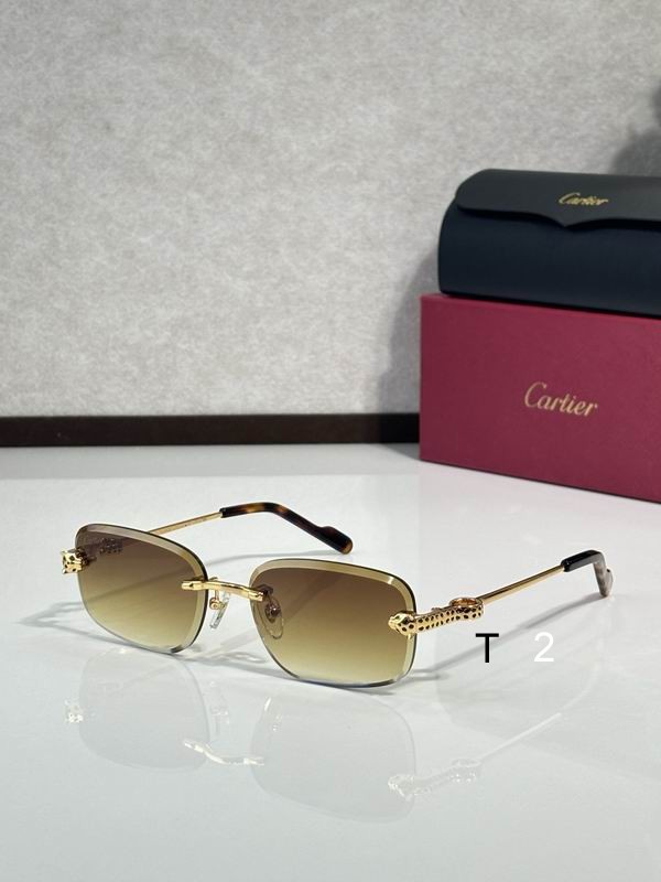 Cartier CT0755S 57 17-143 C05