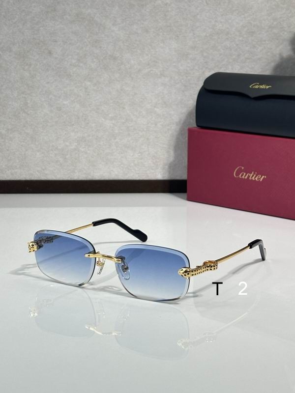 Cartier CT0755S 57 17-143 C08