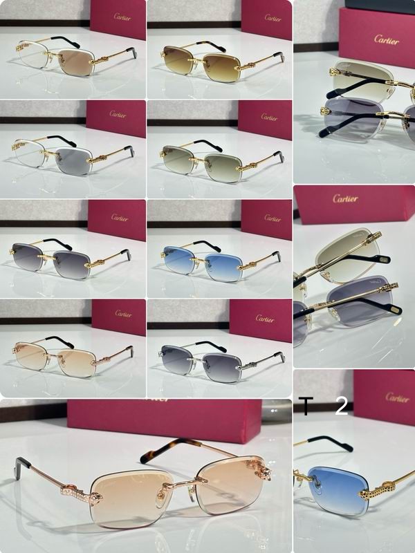 Cartier CT0755S 57 17-143 C10