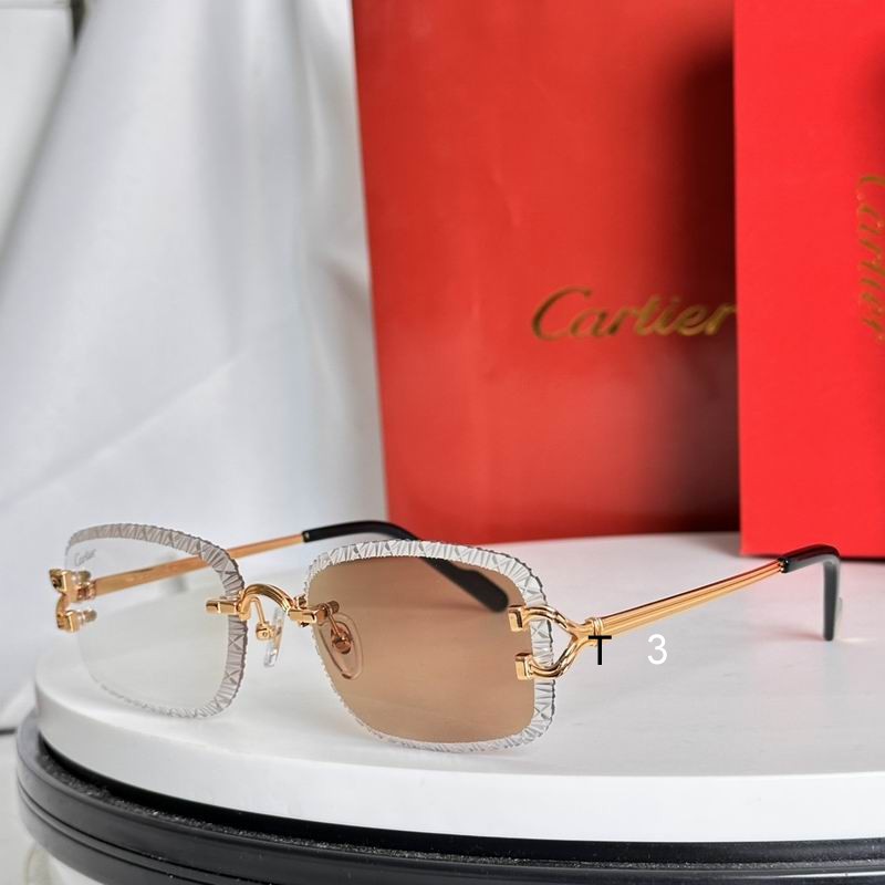 Cartier CT0768S 57 17-142 E06