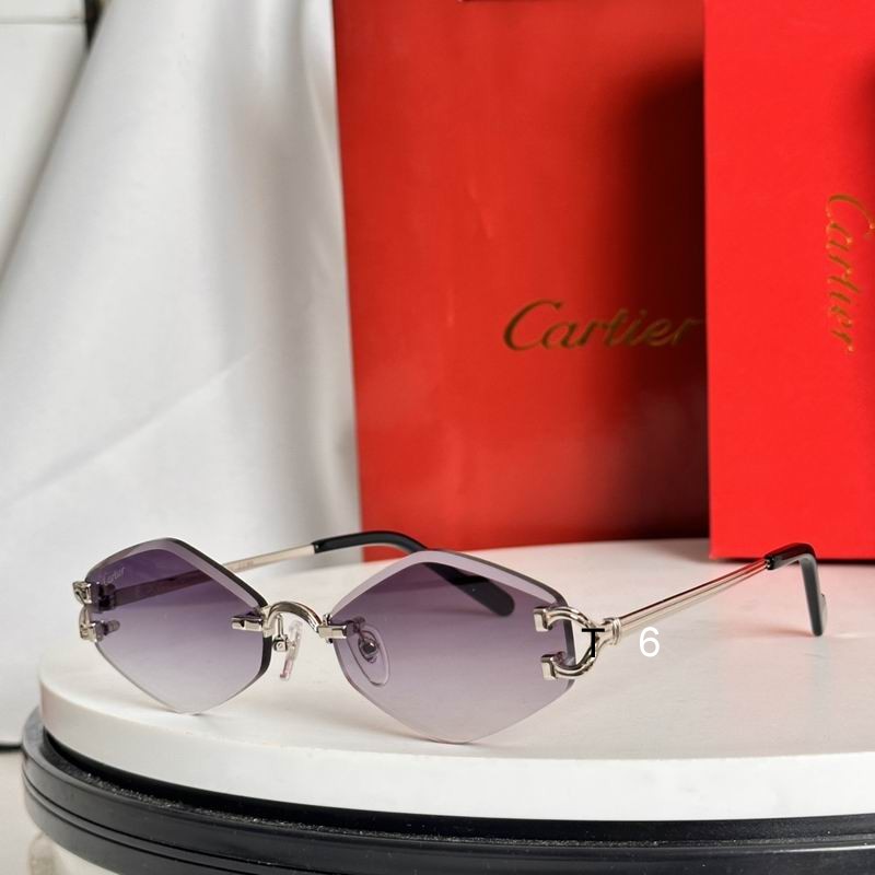 Cartier CT0769S 142 e04