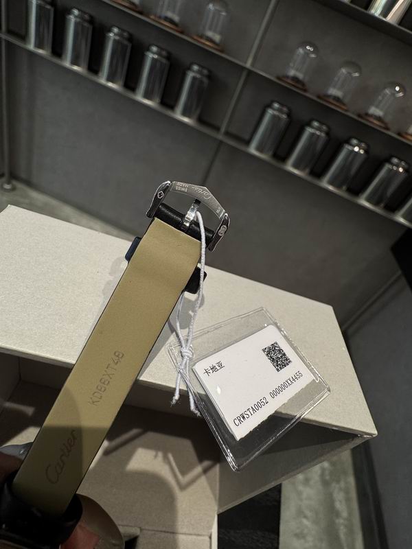 Cartier M27X37mm S22X30mm 100 (13)