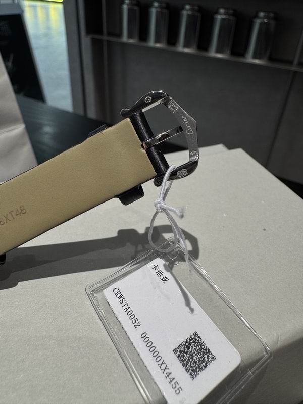 Cartier M27X37mm S22X30mm 100 (2)