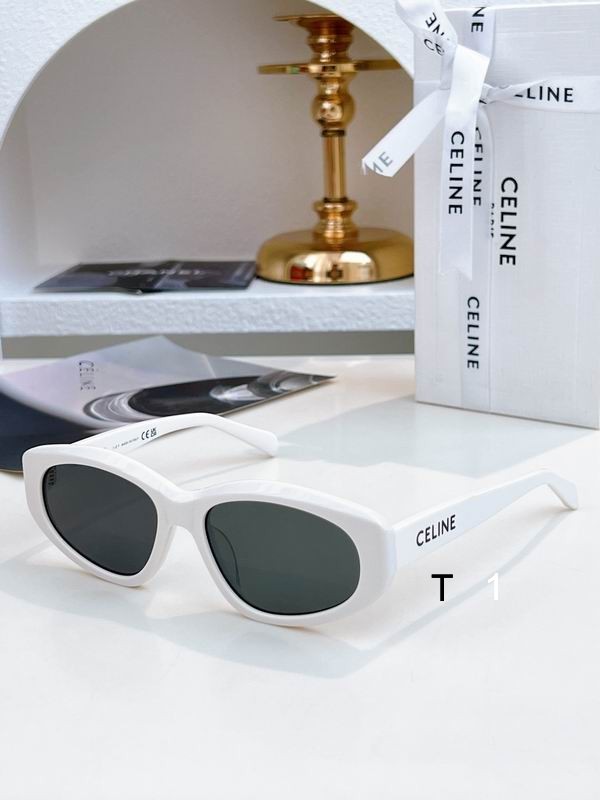 Celine CL40279U 55 17-135 A13