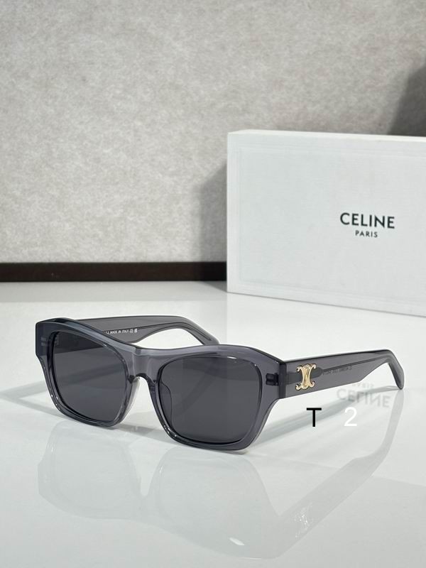 Celine CL40386U 54 19-145 c13