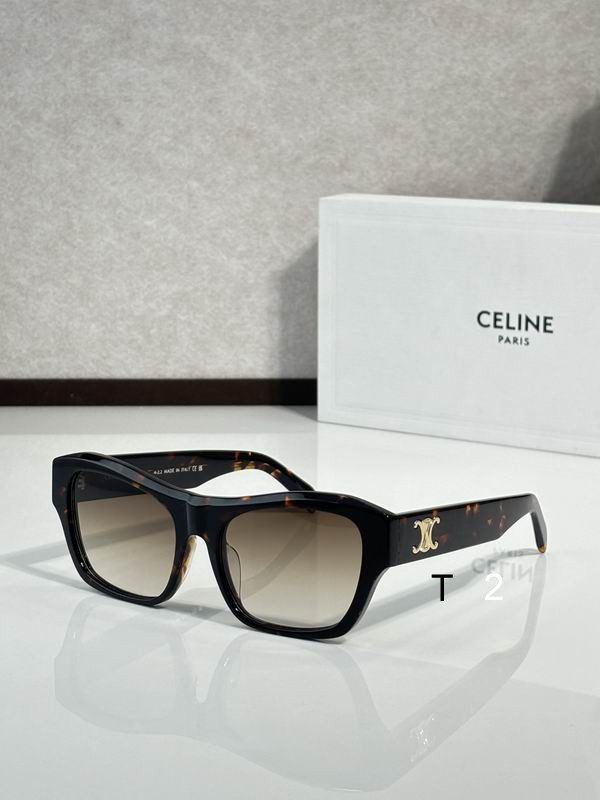 Celine CL40386U 54 19-145 c15