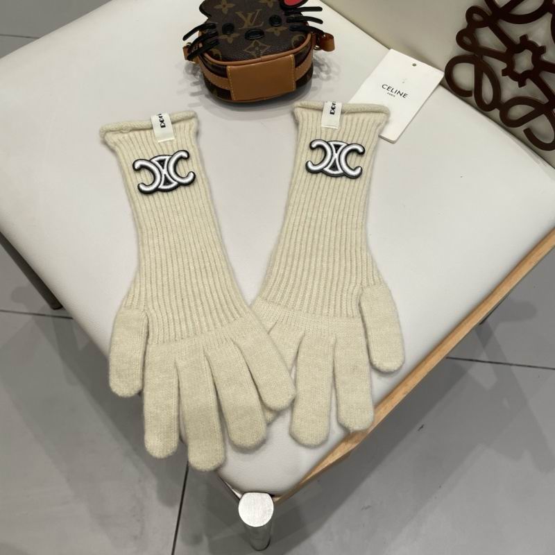 Celine Gloves hm (31)