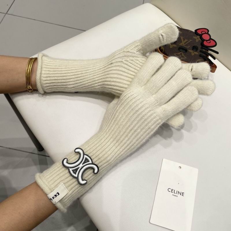 Celine Gloves hm (32)