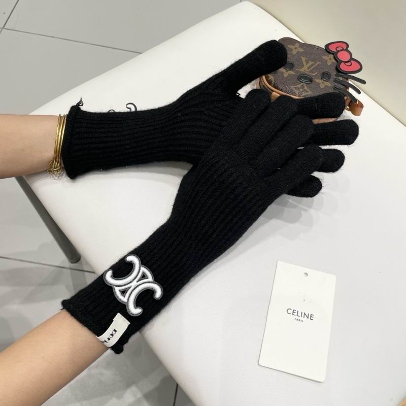 Celine Gloves hm (35)