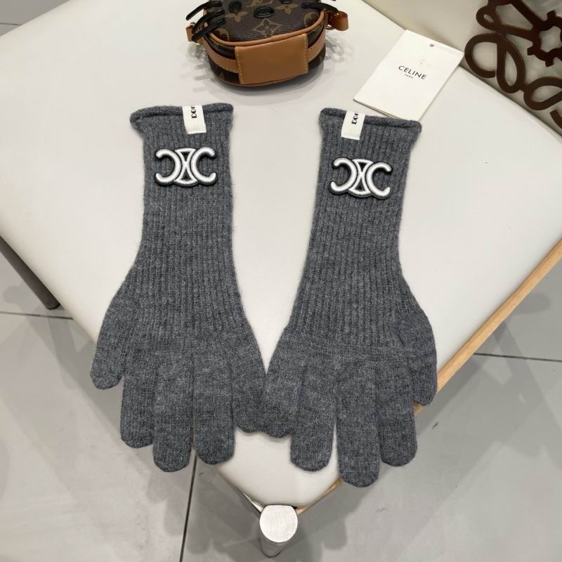 Celine Gloves hm (37)