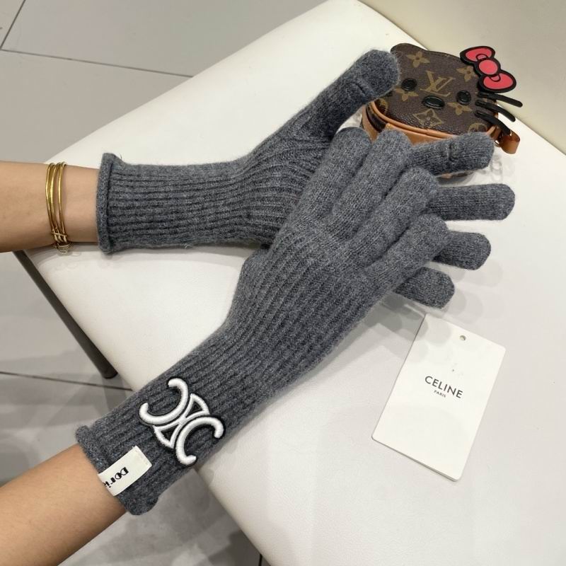 Celine Gloves hm (38)